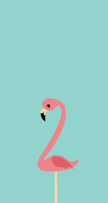 fond decran flamingo 428x800 - Sélection de fonds d'écran pour téléphone et ordinateur